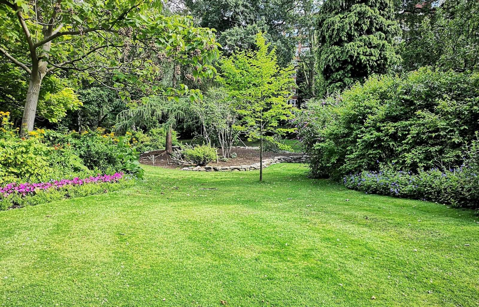 green grass field with trees