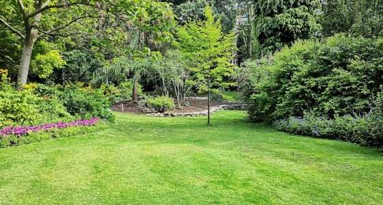green grass field with trees